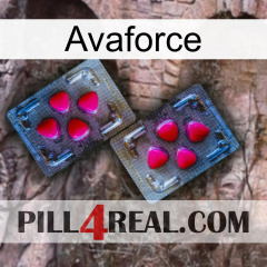 Avaforce 15